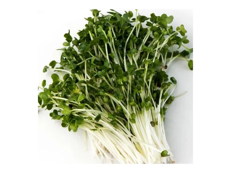 Broccoli microgreens